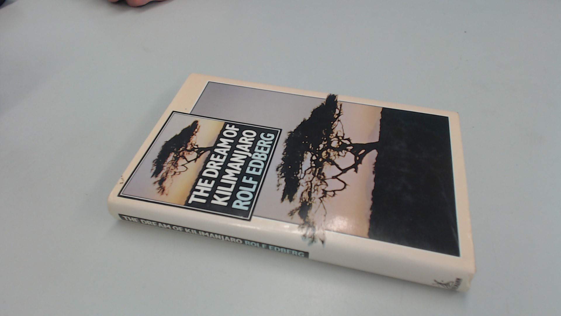 Dream of Kilimanjaro book