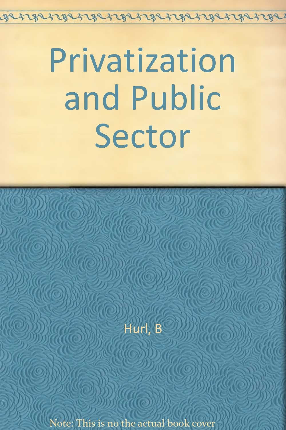 Privatization and the Public Sector (Studies in the UK Economy S.) Business, Finance & Career