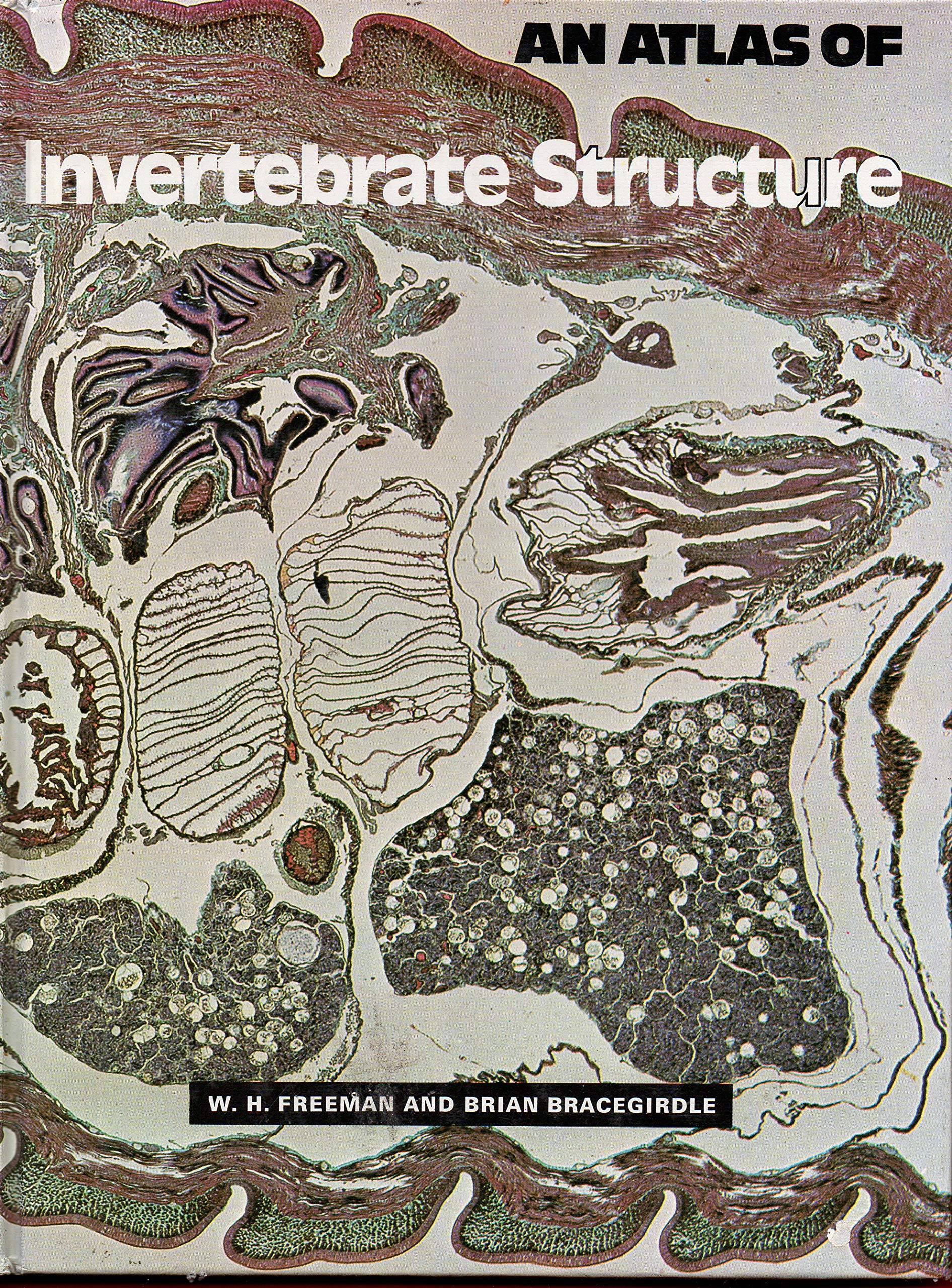 An Atlas of Invertebrate Structure Business & Technology