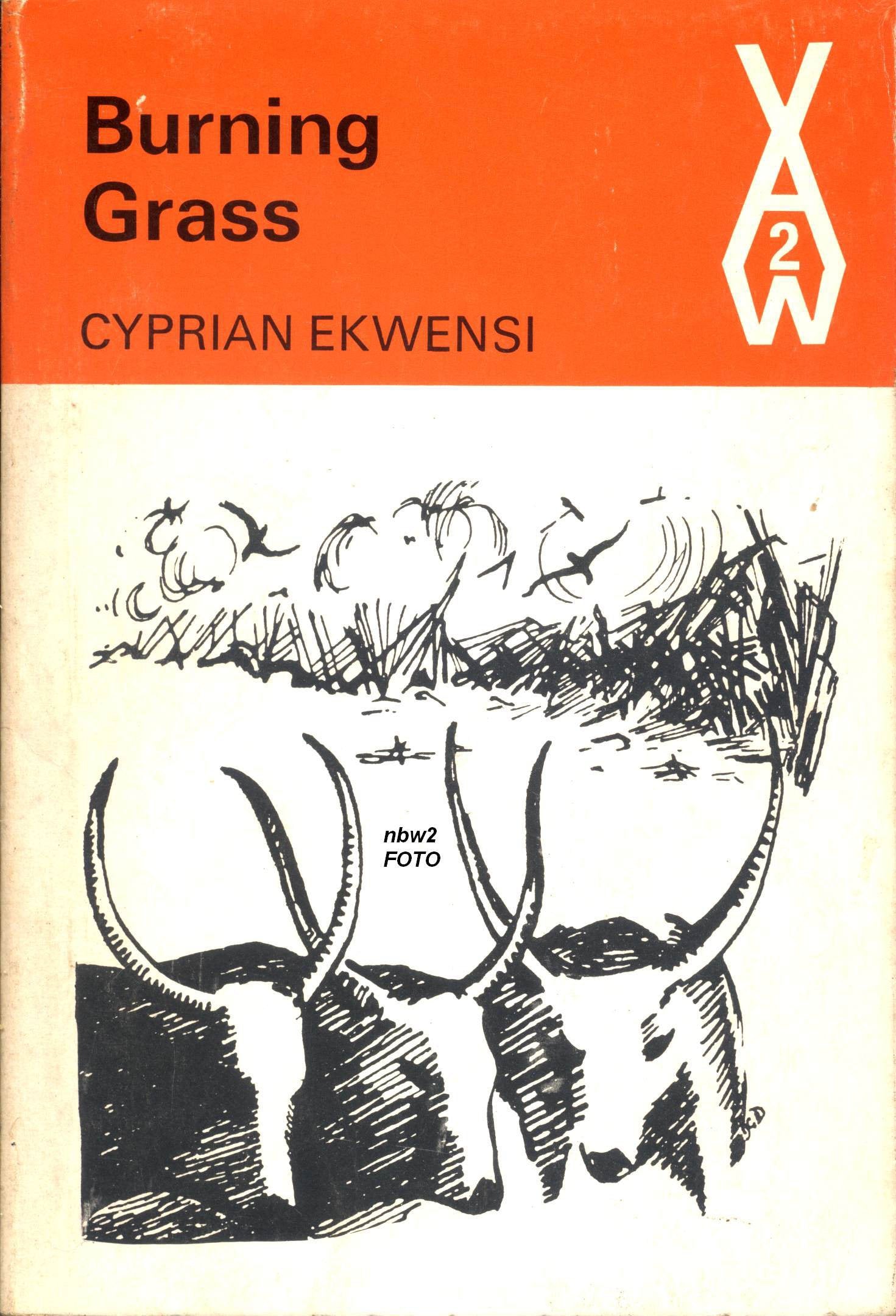 Burning Grass (African Writers Series) Books