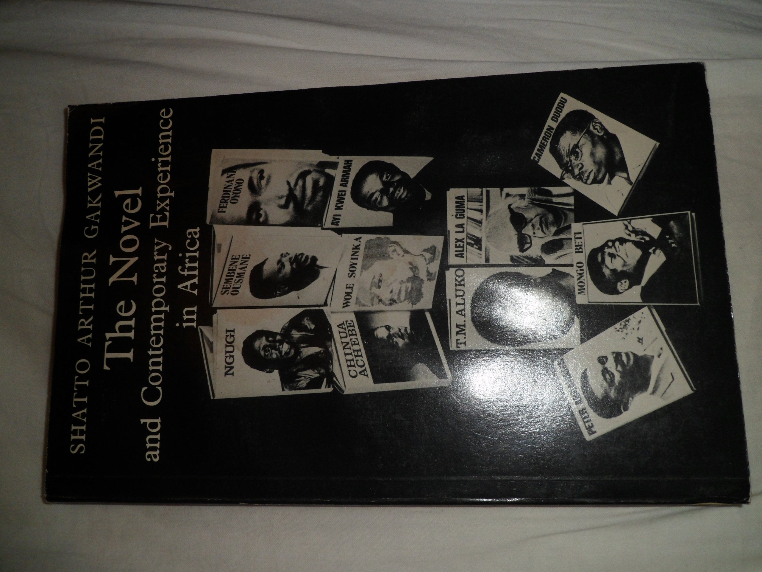 Novel, The, and Contemporary Experience in Africa Books
