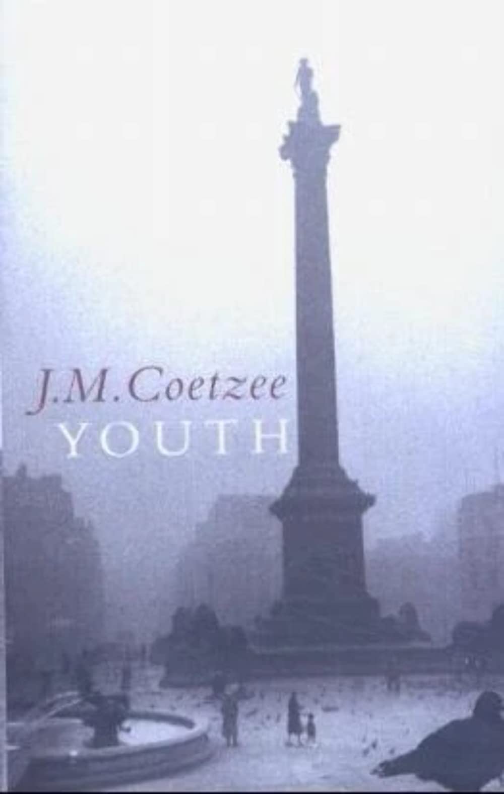 Youth Contemporary literature Books