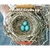 A Robin Grows Up by Melvin Berger and Gilda Berger (2008 Books