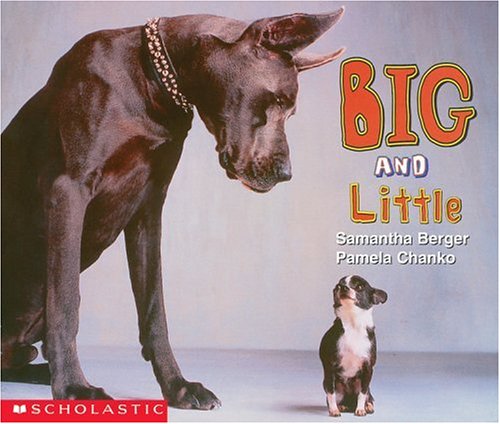 Big and Little (Learning Center Emergent Readers) Non-fiction