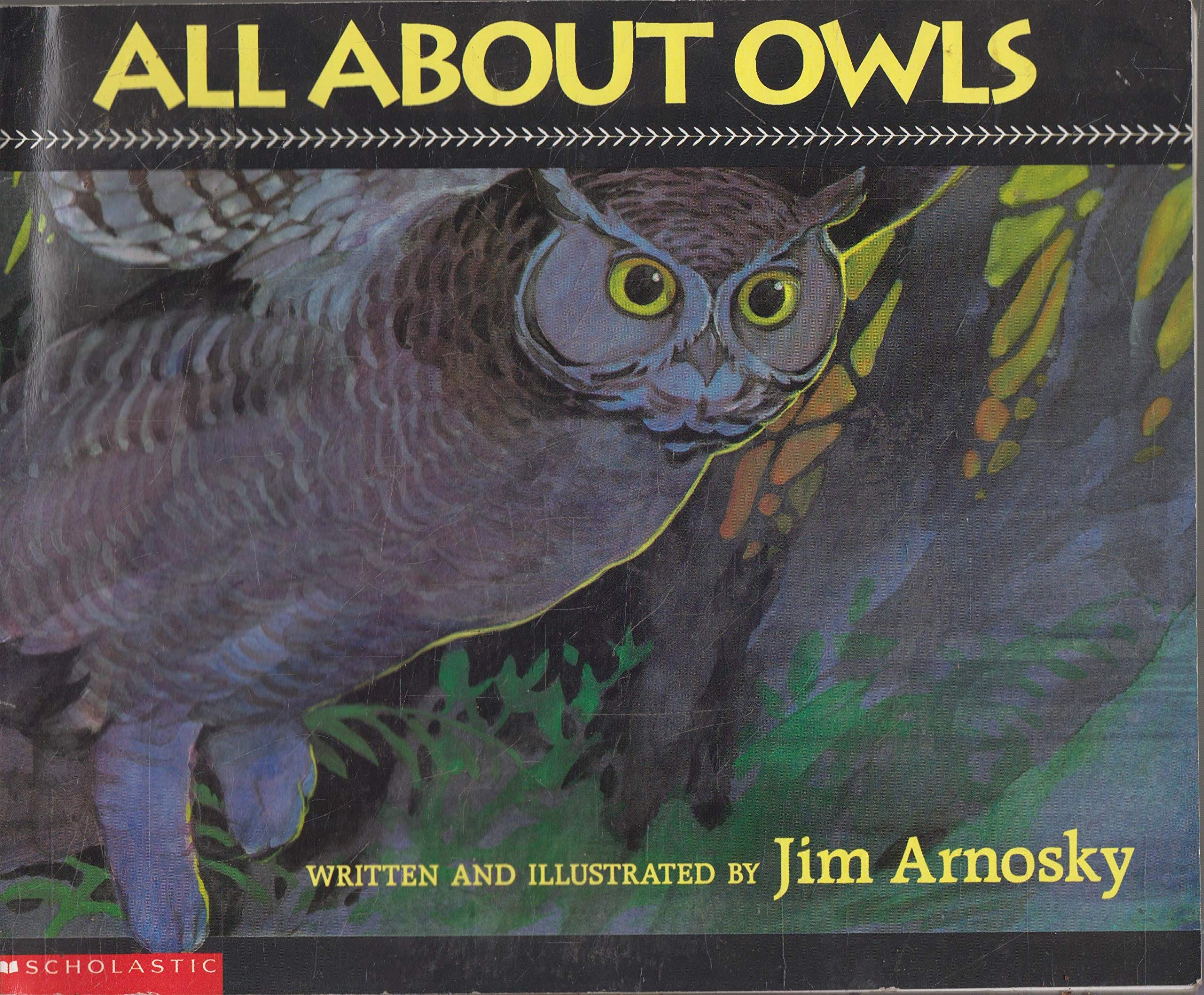 Jim Arnosky's All About Owls Non-fiction