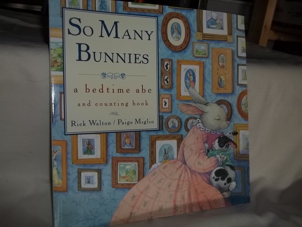 So Many Bunnies (a bedtime abc and counting book) book