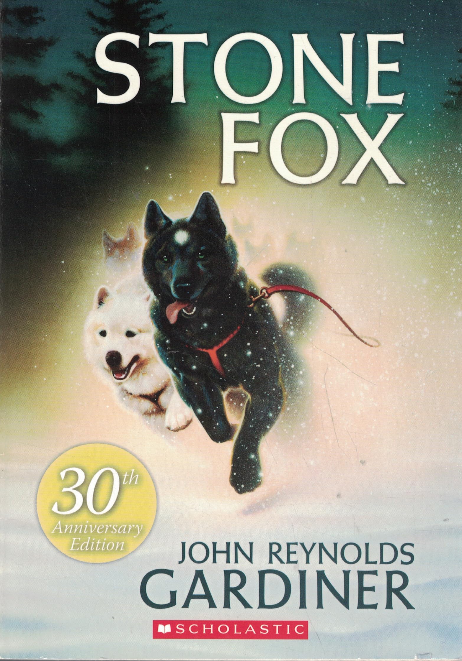 Stone Fox Contemporary literature Books