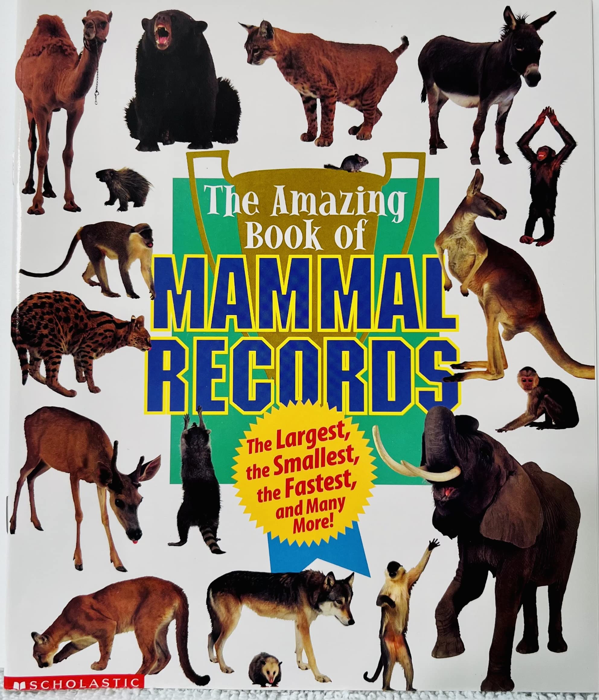 The amazing book of mammal records: The largest, the smallest, the fastest, and many more! Books