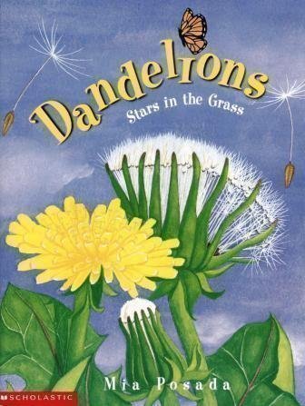 Dandelions: Stars in the Grass Natural Sciences