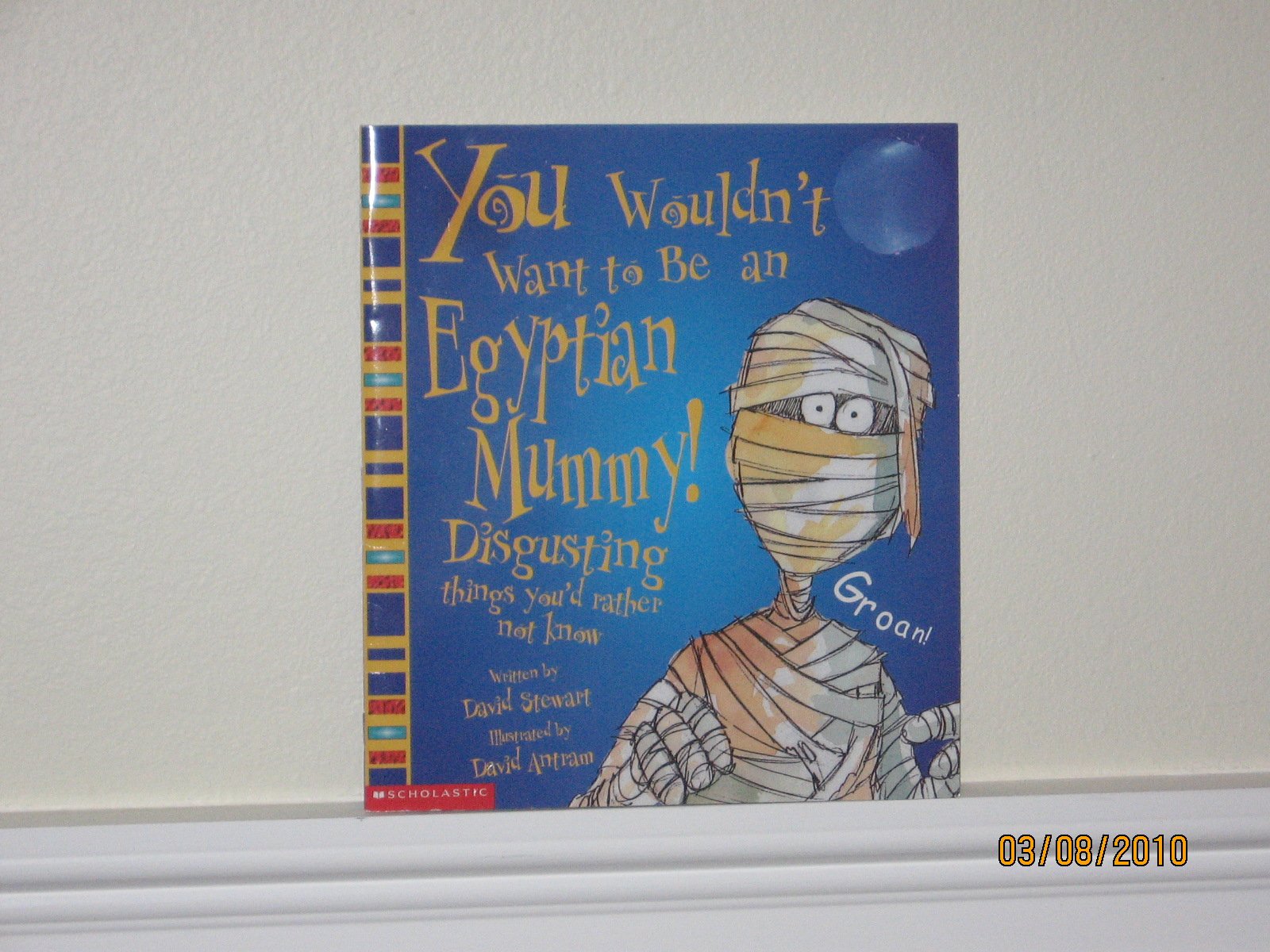 You Wouldn't Want to Be an Egyptian Mummy! Books