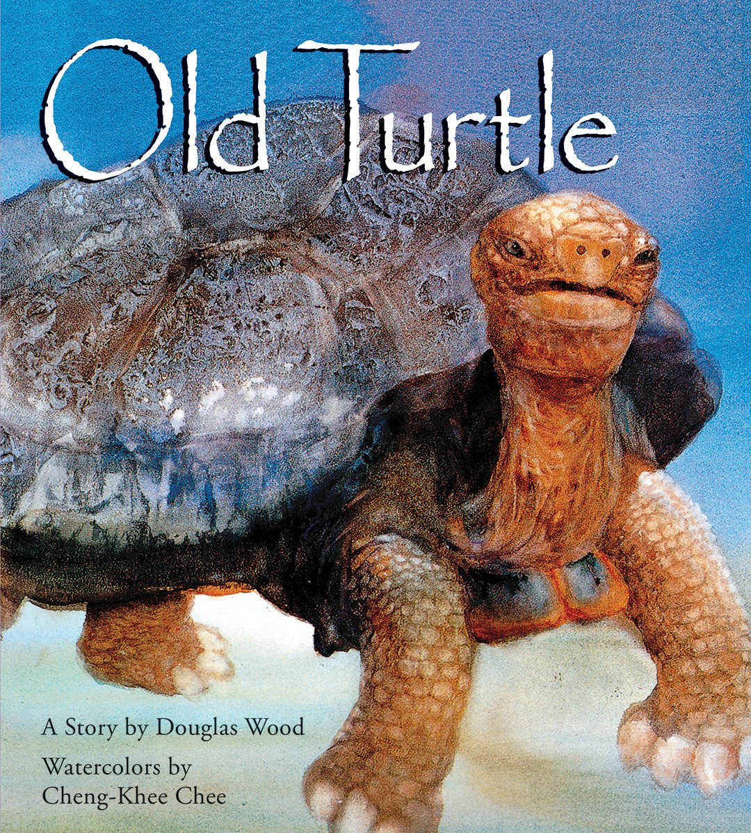 Old Turtle (Lessons of Old Turtle) Novels & Short Stories