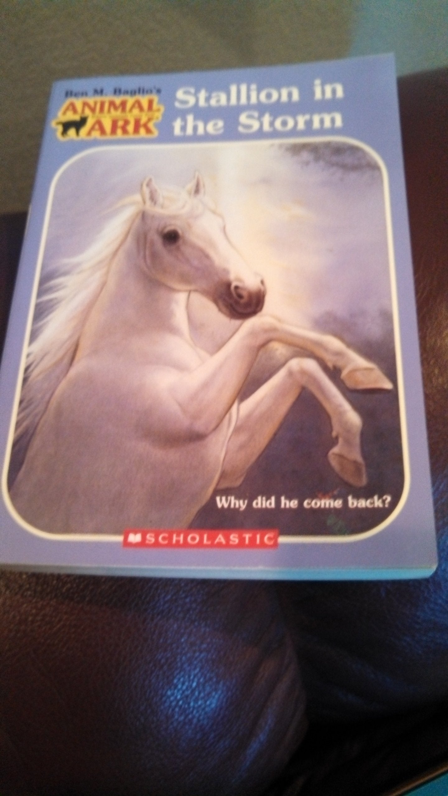 Stallion in the Storm (Animal Ark Hauntings) Novels & Short Stories