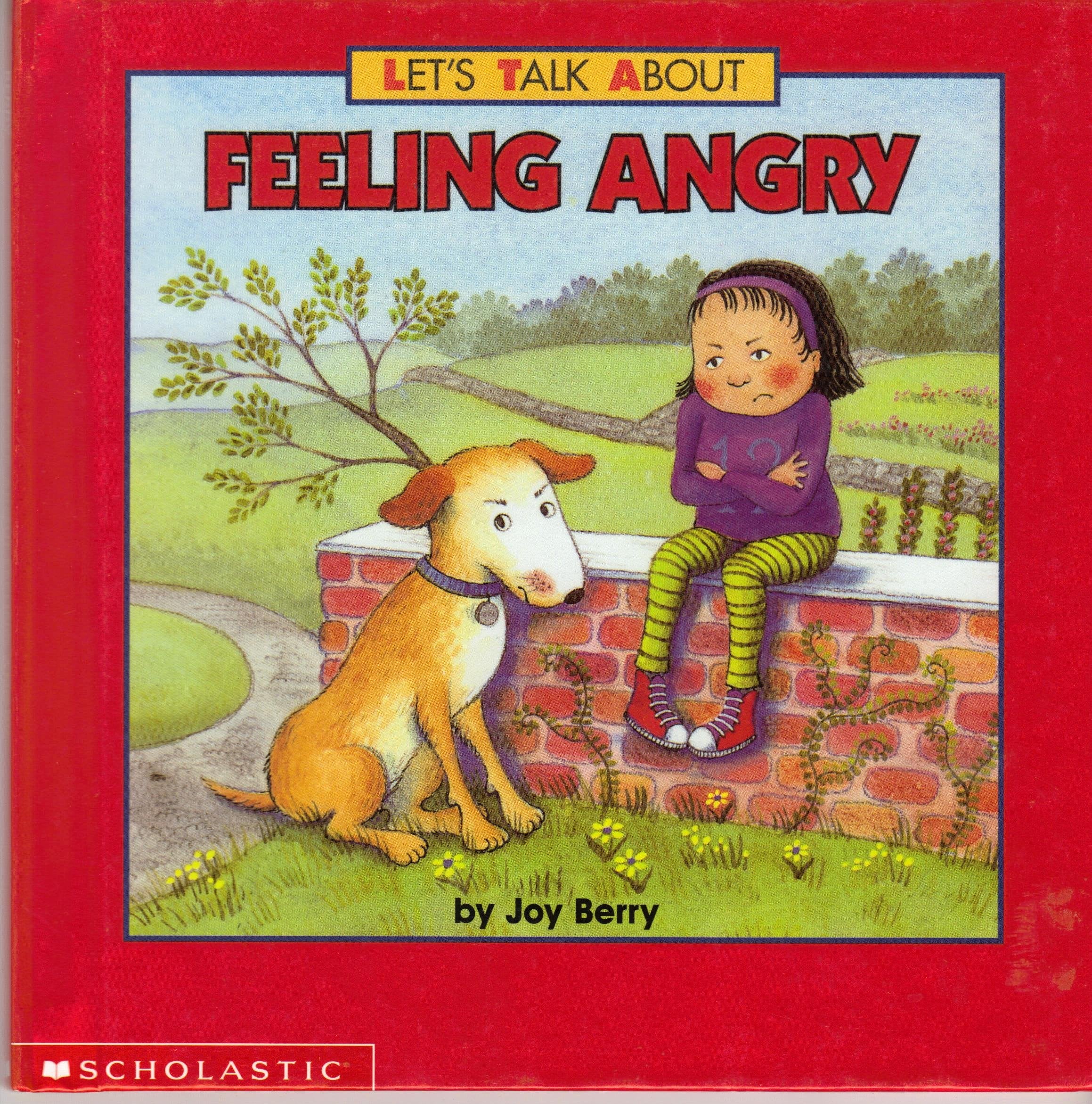 Let's Talk About Being Angry (Let's Talk About) Books