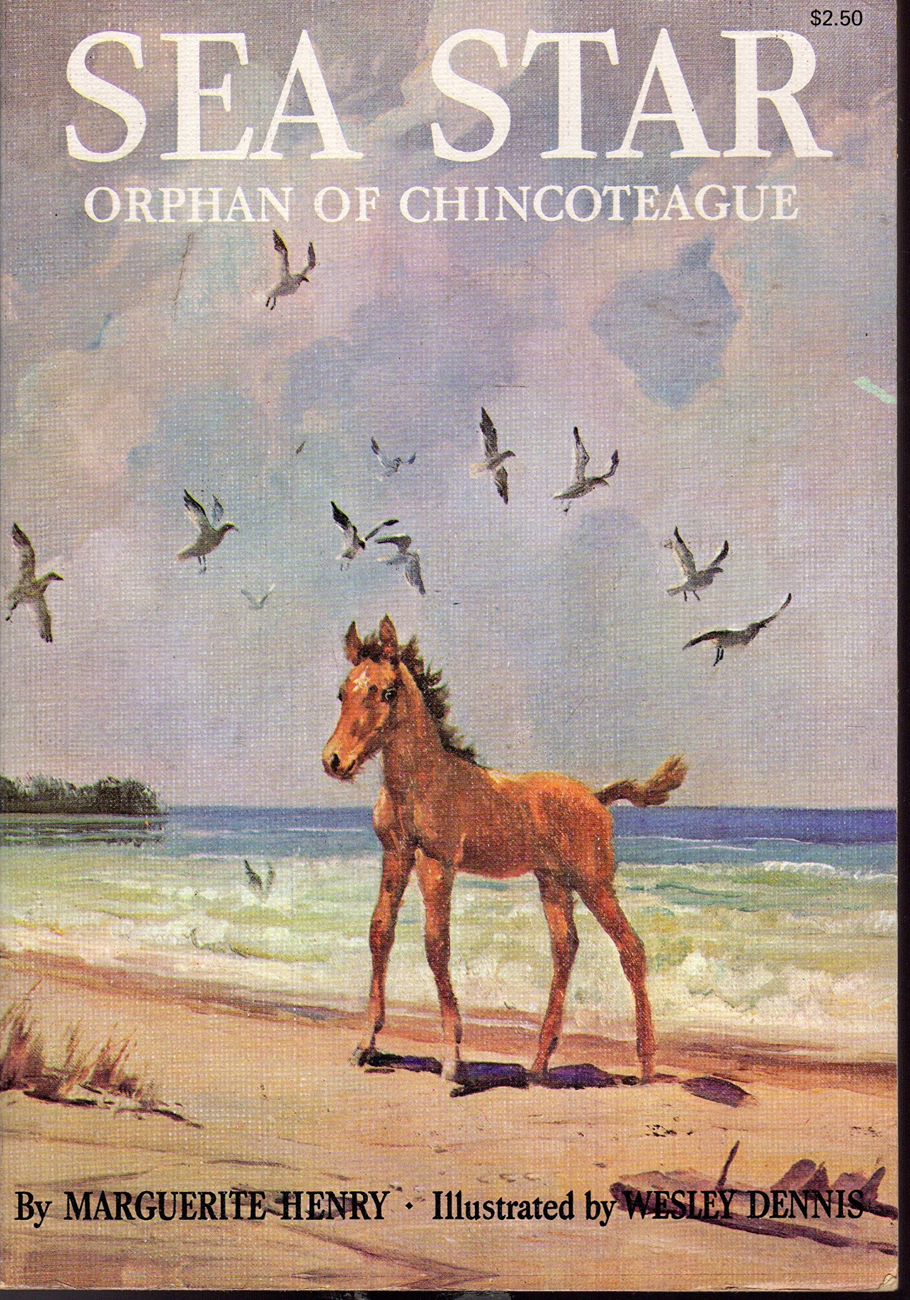 Sea Star, Orphan of Chincoteague book
