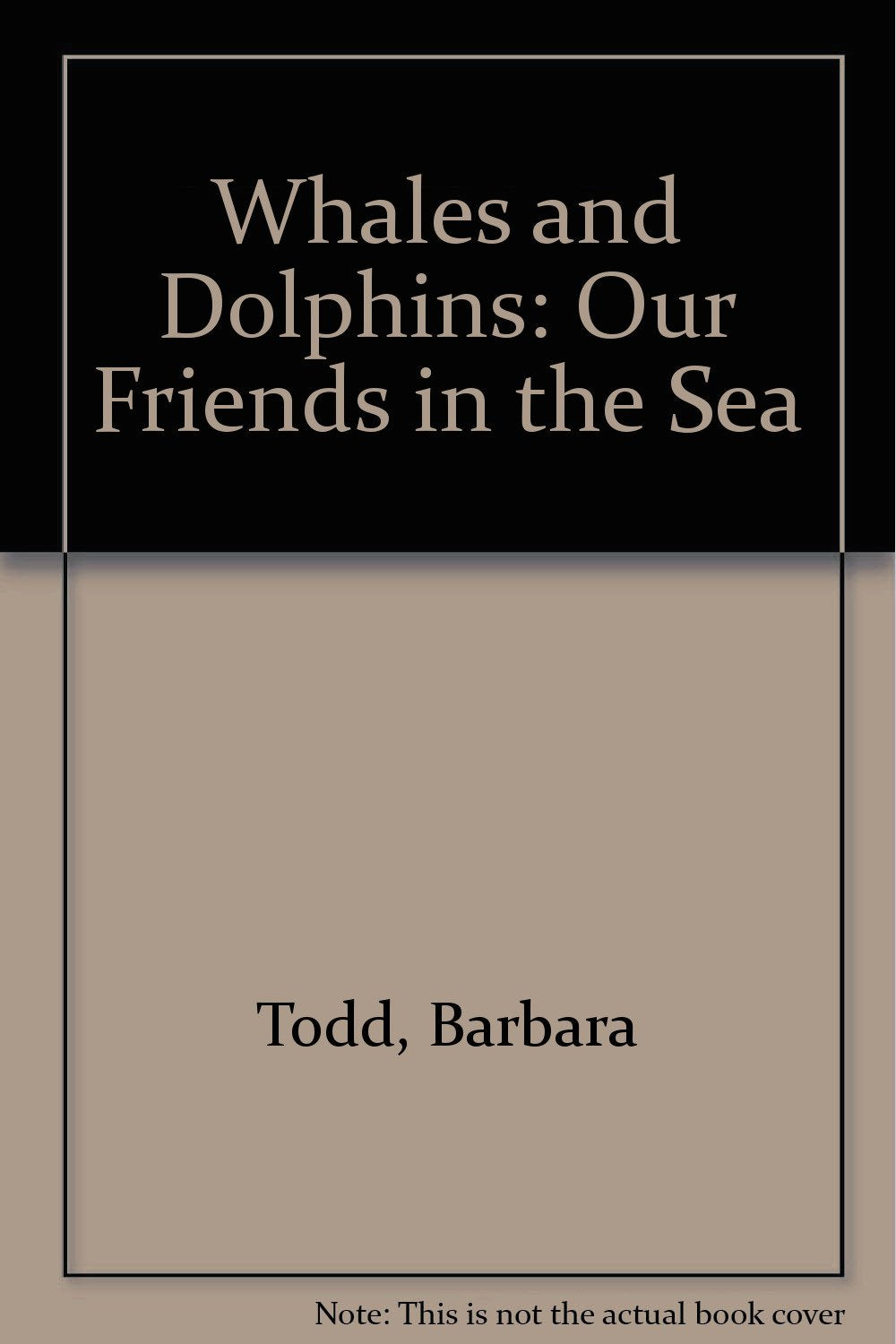 Whales and Dolphins: Our Friends in the Sea Books