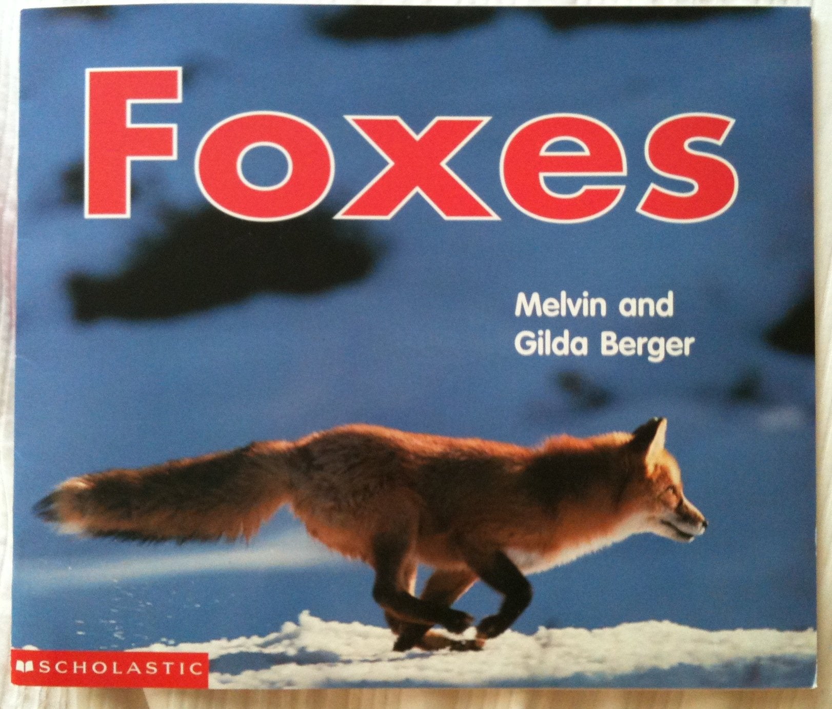 Foxes (Time-to-Discover) Books