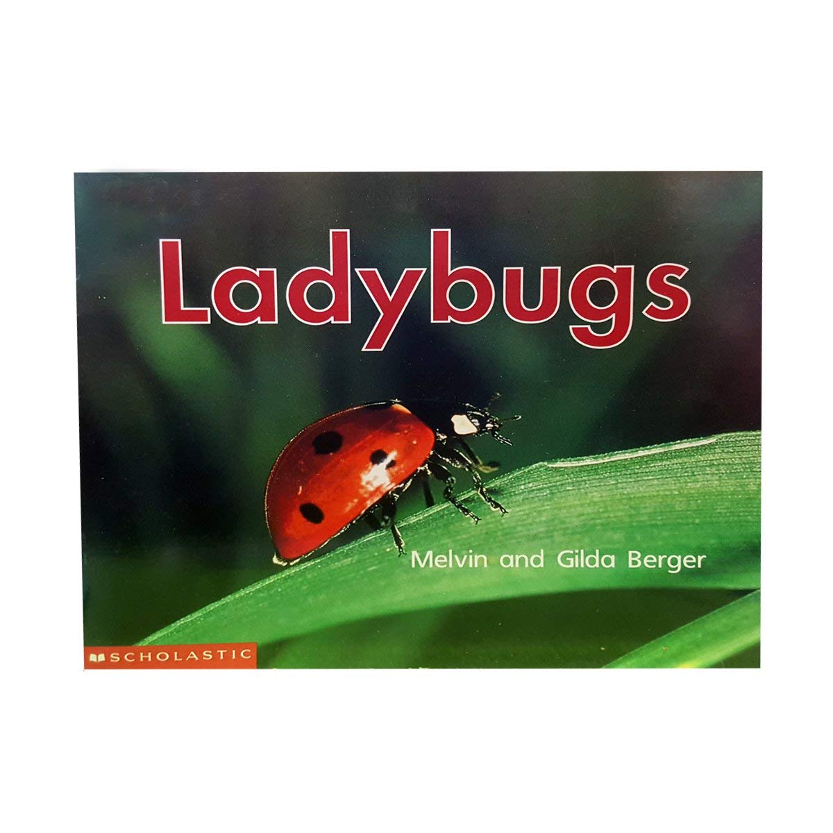 Ladybugs (Scholastic Time-to-Discover Readers) Books