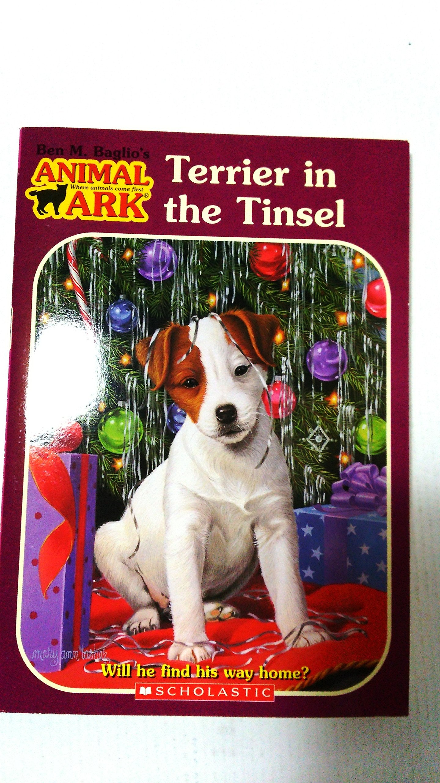 Terrier in the Tinsel (Animal Ark) Non-fiction