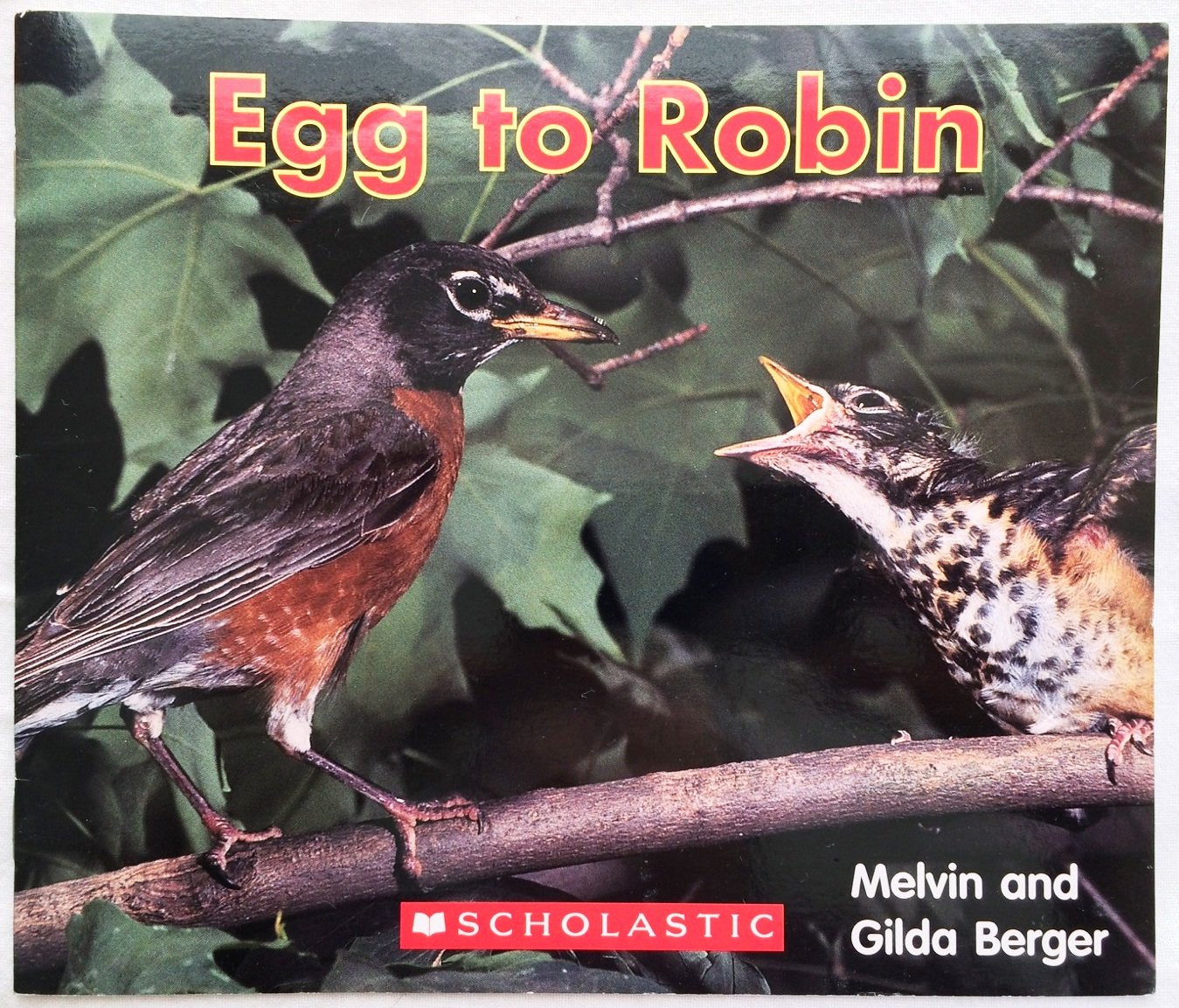 Title: Egg to Robin Books