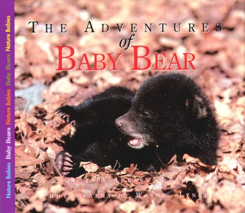 The Adventures of Baby Bear (Nature Babies) Non-fiction