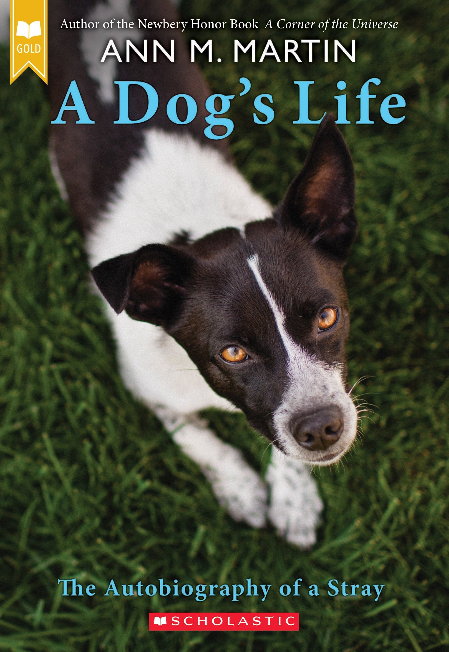 A Dog's Life: The Autobiography of a Stray (Scholastic Gold) Novels & Short Stories