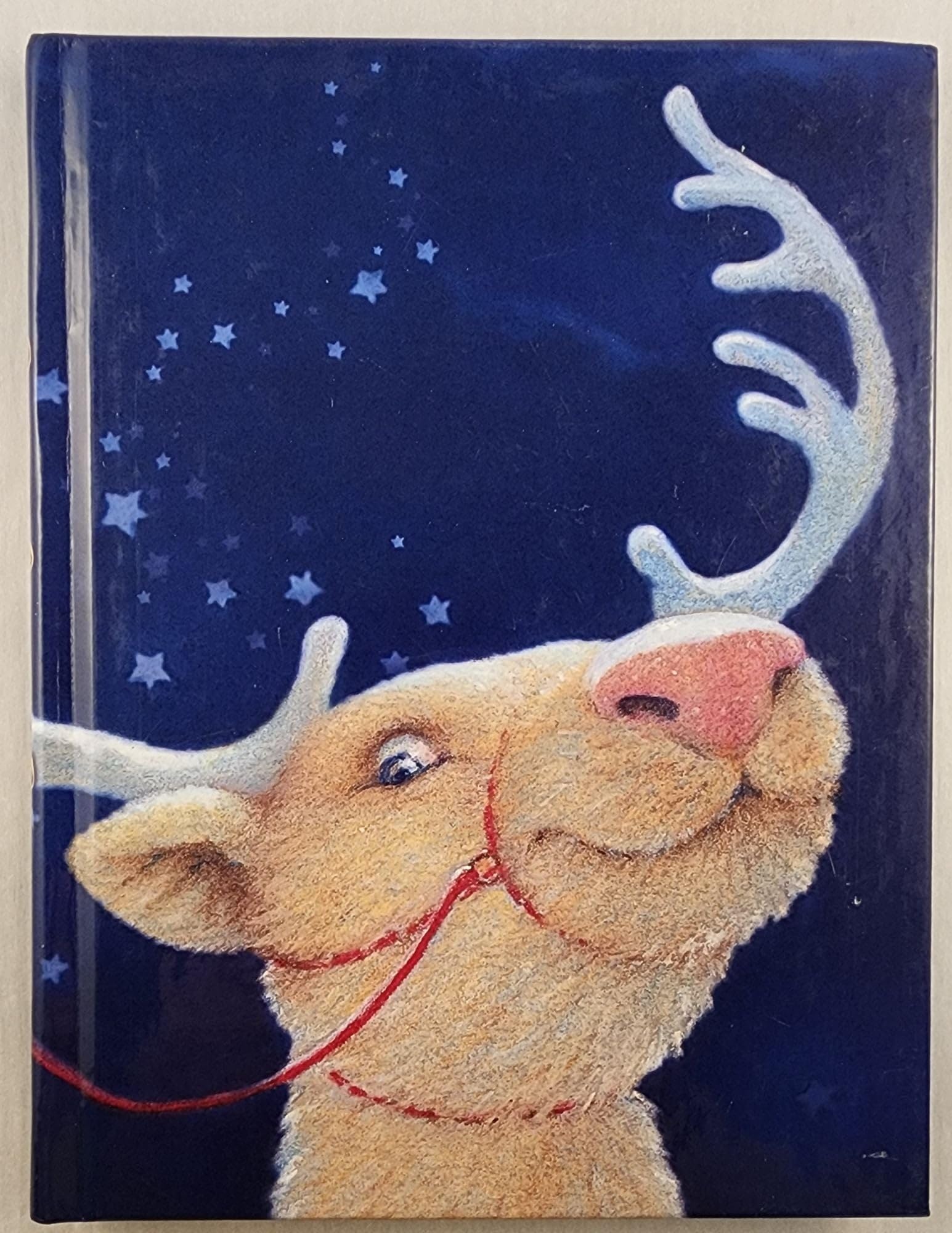 When Santa Fell to Earth Non-fiction