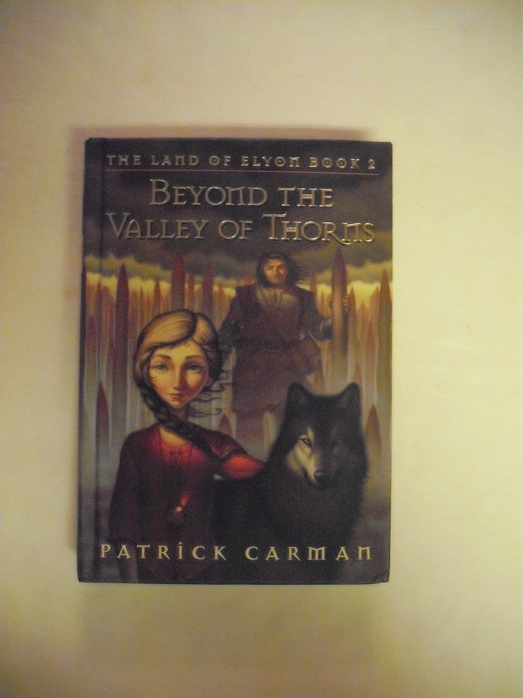 Beyond the Valley of Thorns Books