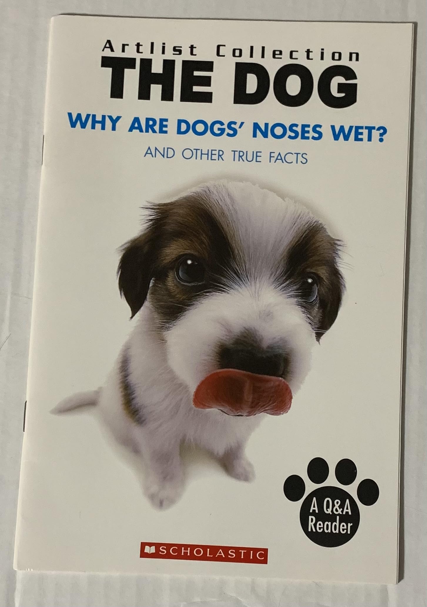 Dog: Why Are Dogs' Noses Wet? And Other True Facts book