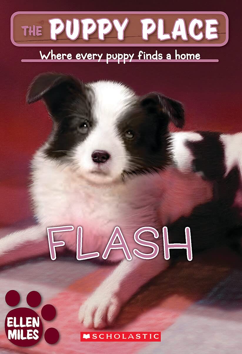 Flash (Puppy Place, 6, Band 6) Novels & Short Stories