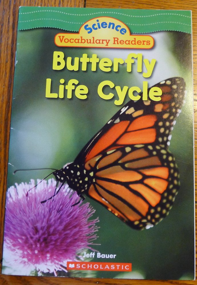 Butterfly Life Cycle Books