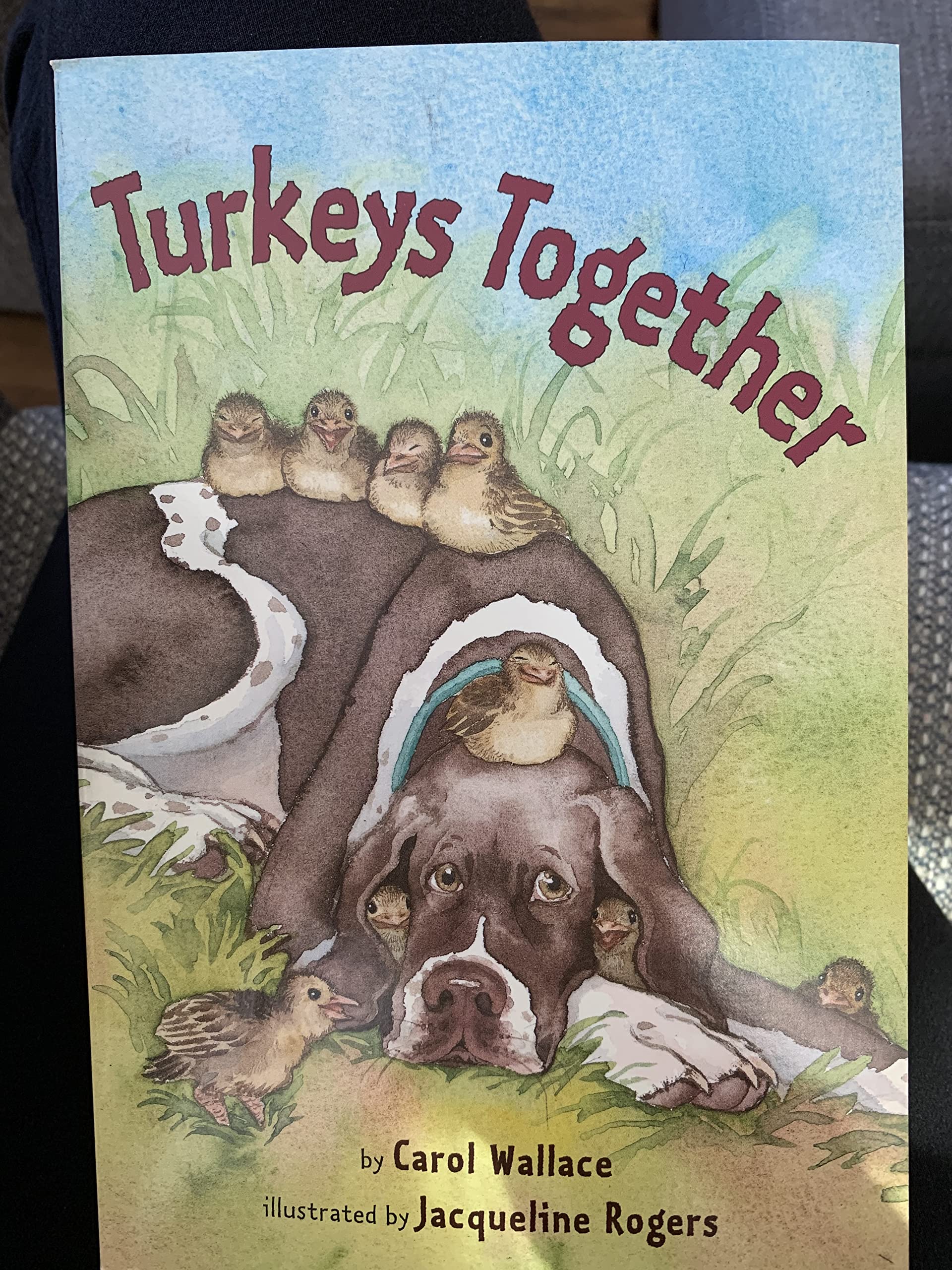 TURKEYS TOGETHER Books