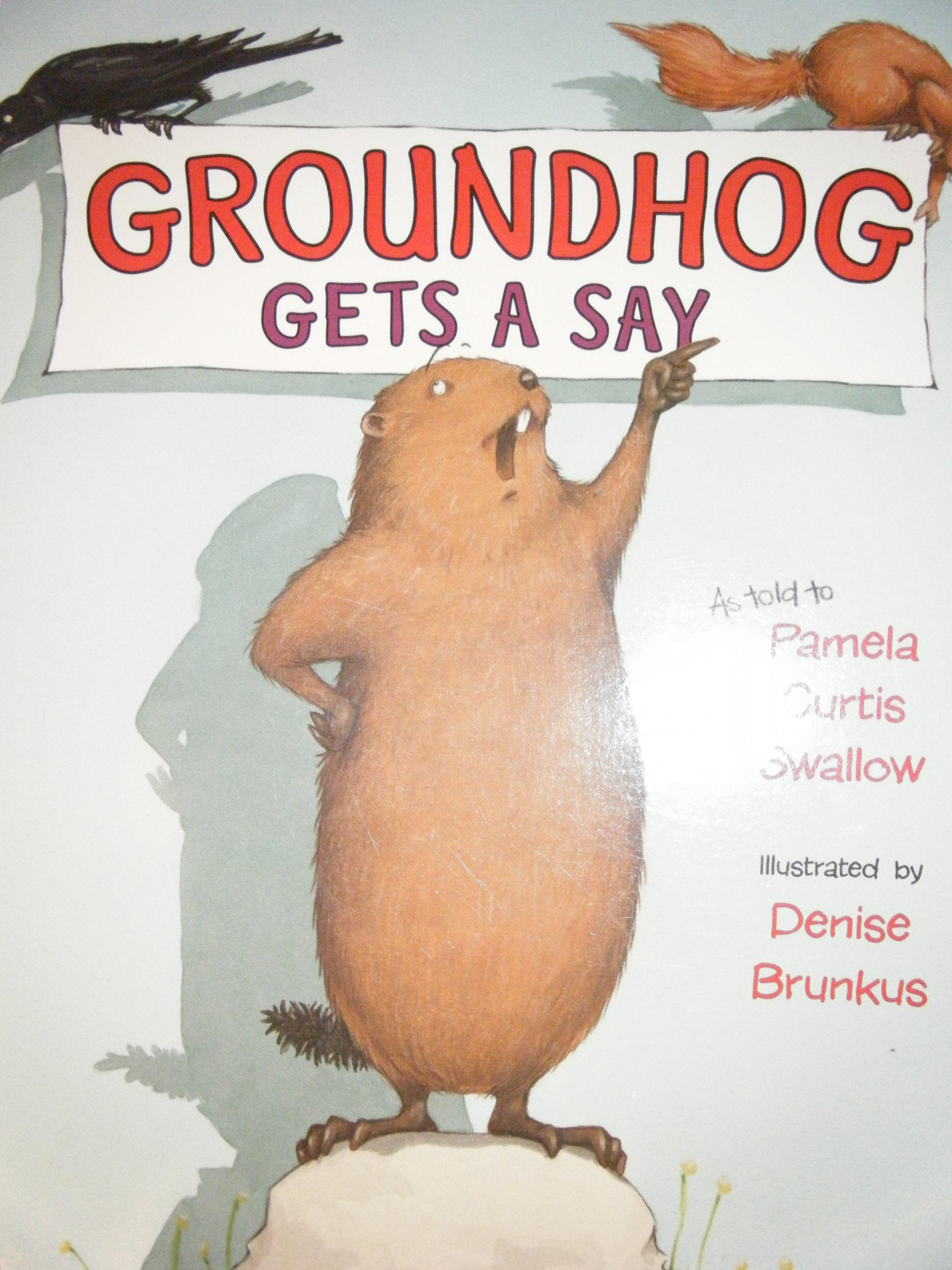Product Image: Groundhog Gets a Say