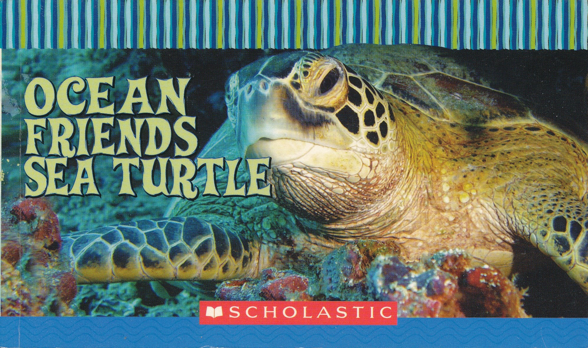 Ocean Friends: Sea Turtle by Salzano, Tammi J. Books