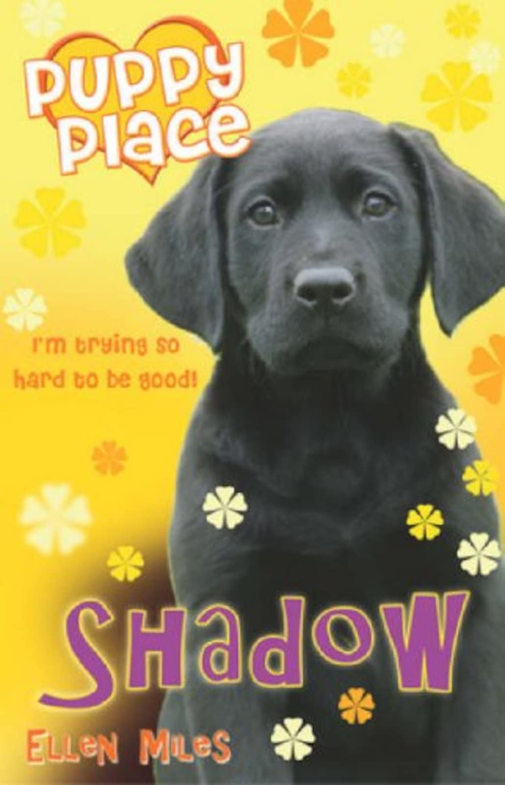 Product Image: Shadow (Puppy Place, Band 3)