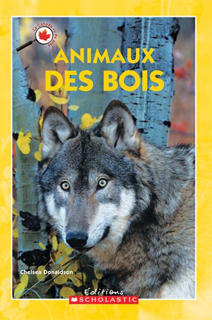 Le Canada Vu de Pr?s: Animaux Des Bois book