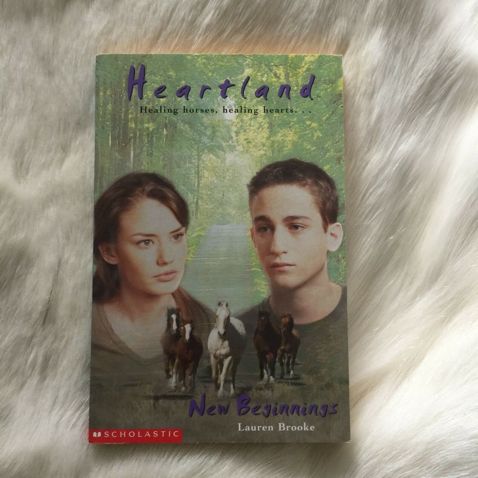 New Beginnings (Heartland, Band 18) Novels & Short Stories