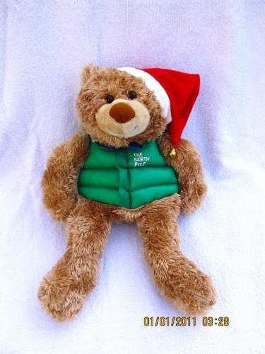 The Christmas Bear book