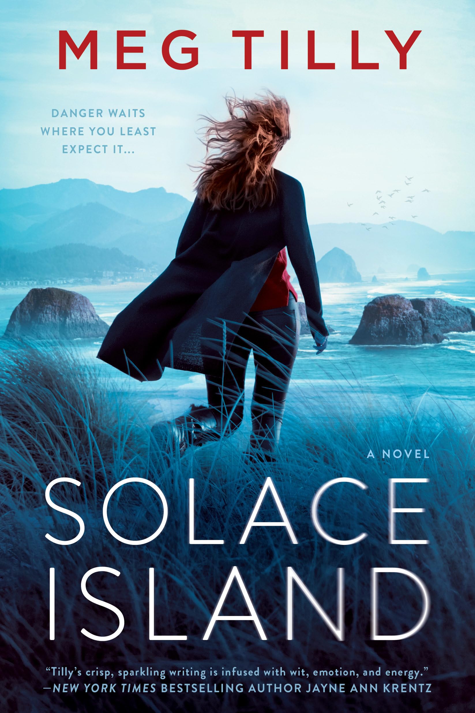 Solace Island (Solace Island Series, Band 1) Contemporary literature