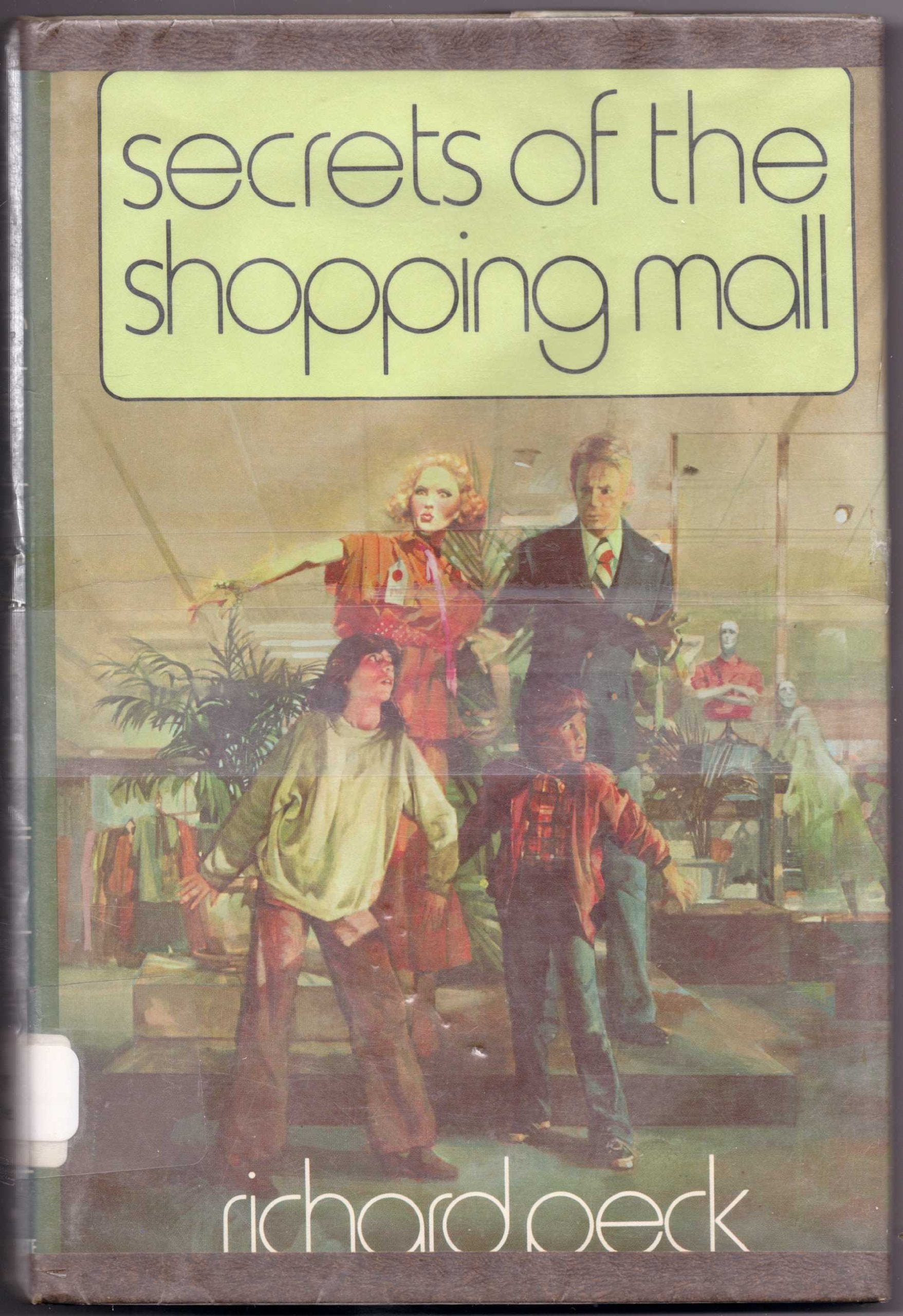 Secrets of the shopping mall book