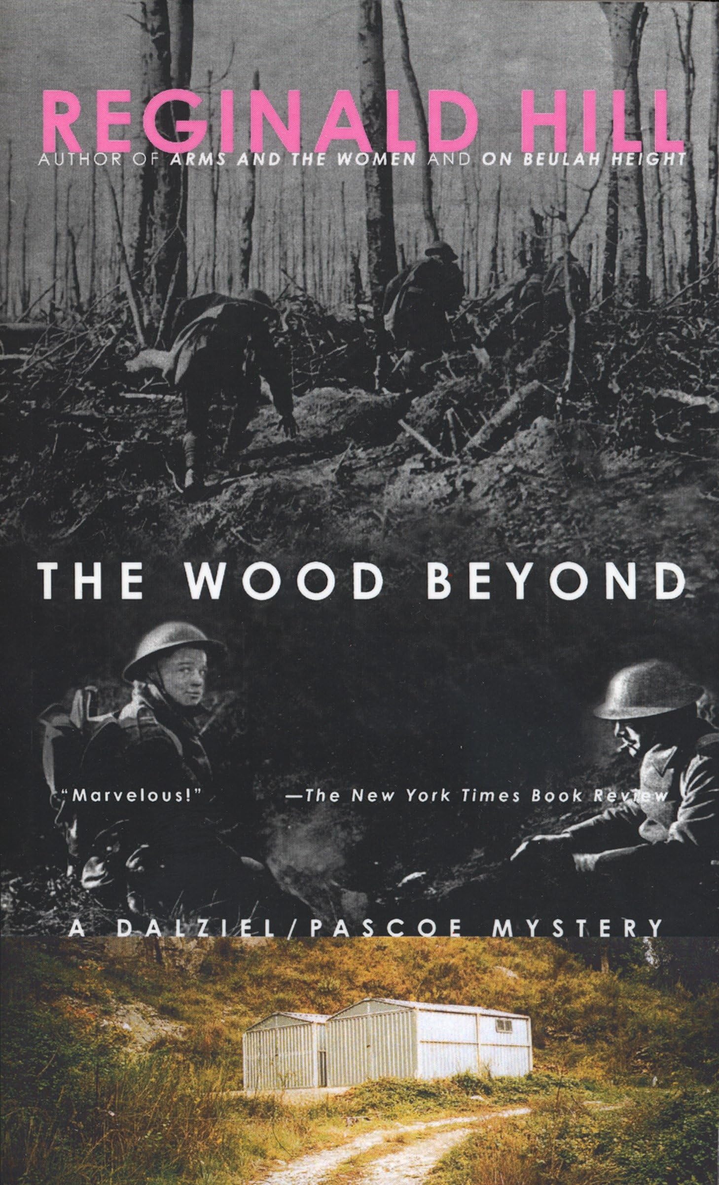 The Wood Beyond Contemporary literature Books