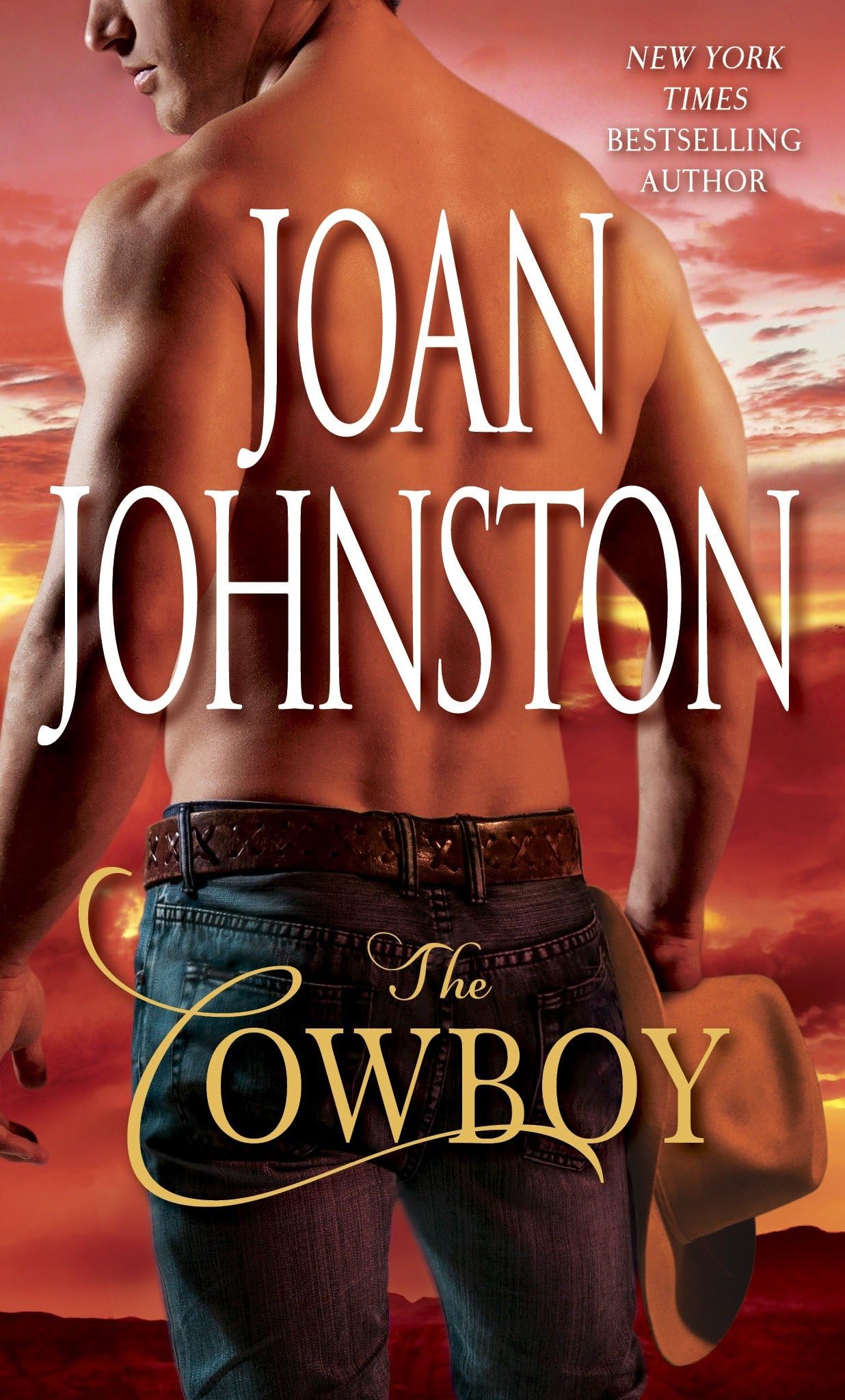 The Cowboy (Bitter Creek, Band 1) Contemporary literature