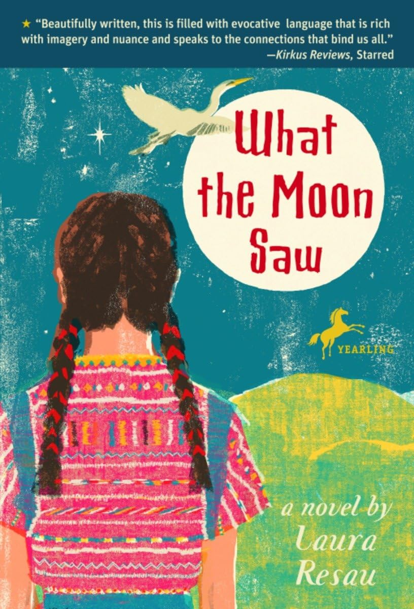 What the Moon Saw book
