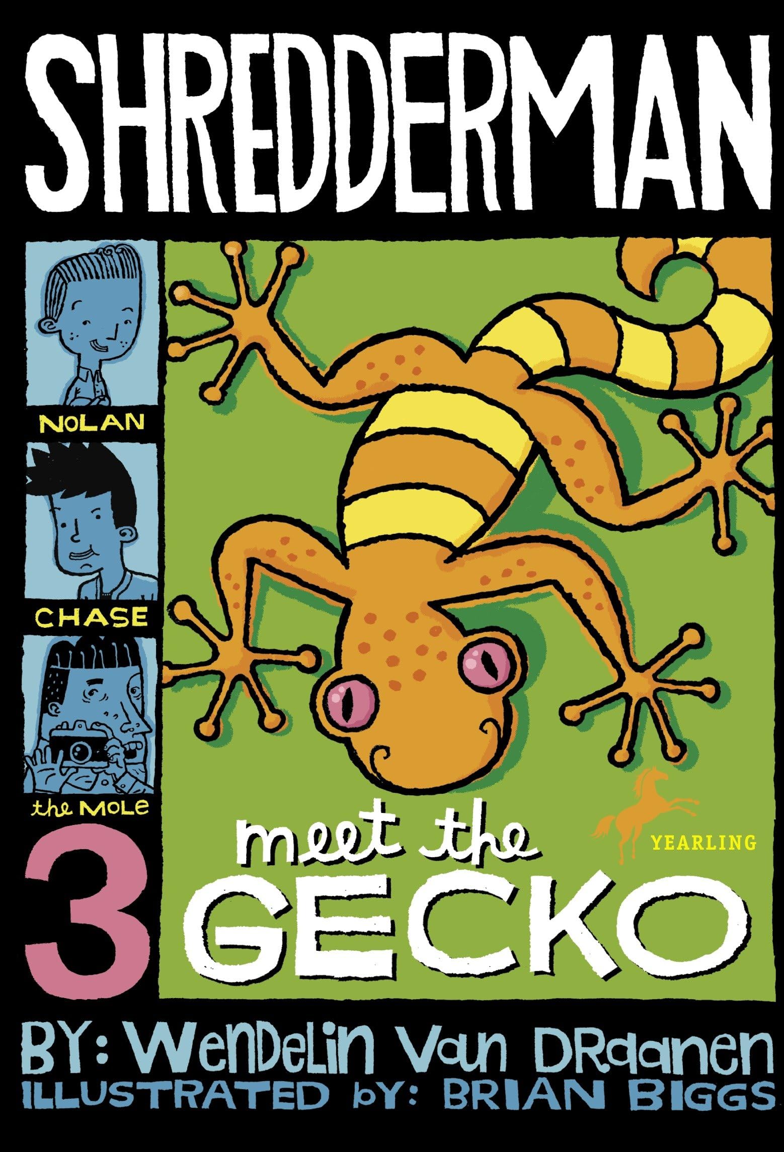 Shredderman: Meet the Gecko Non-fiction