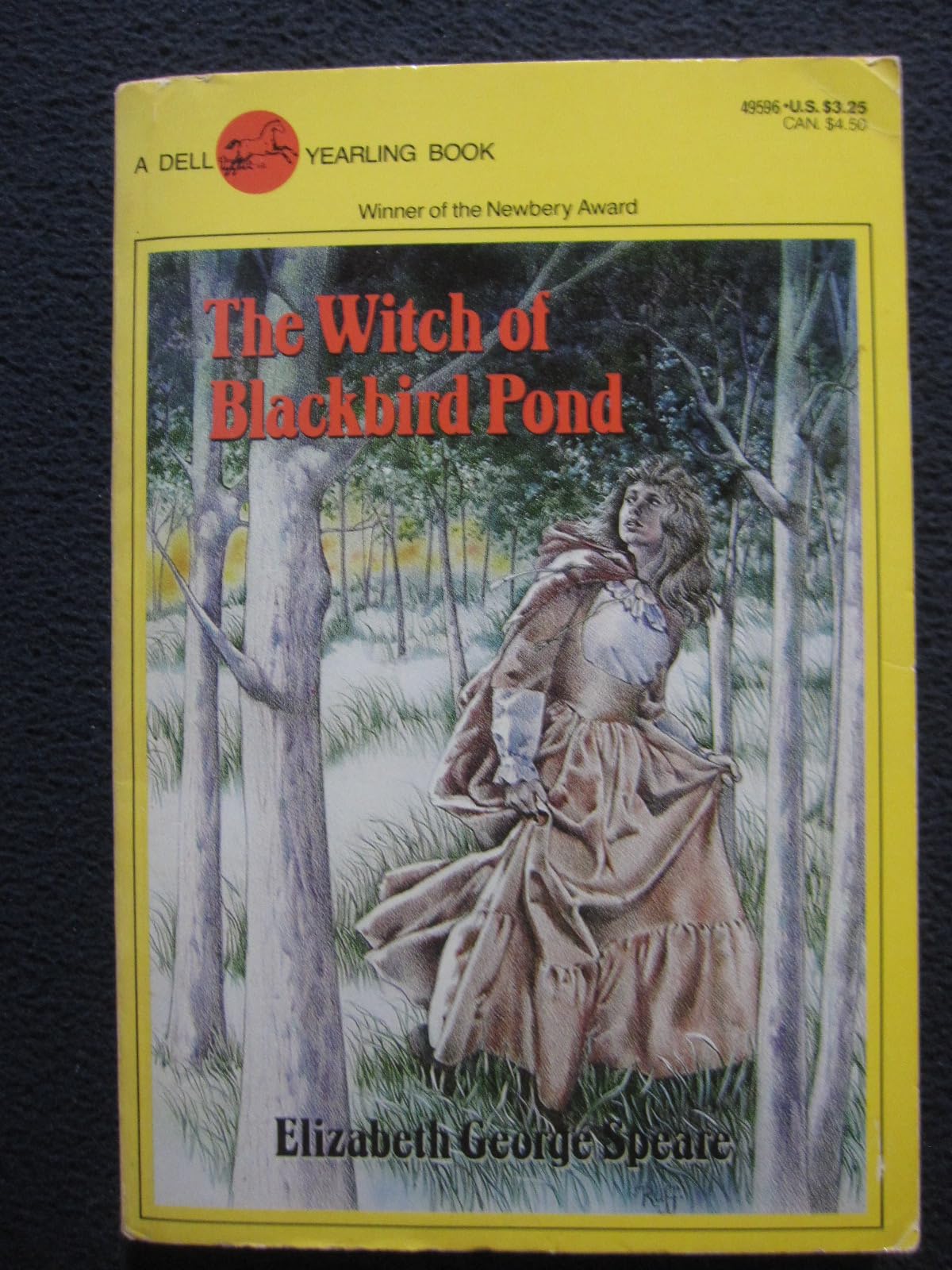 Witch of Blackbird Pond Novels & Short Stories