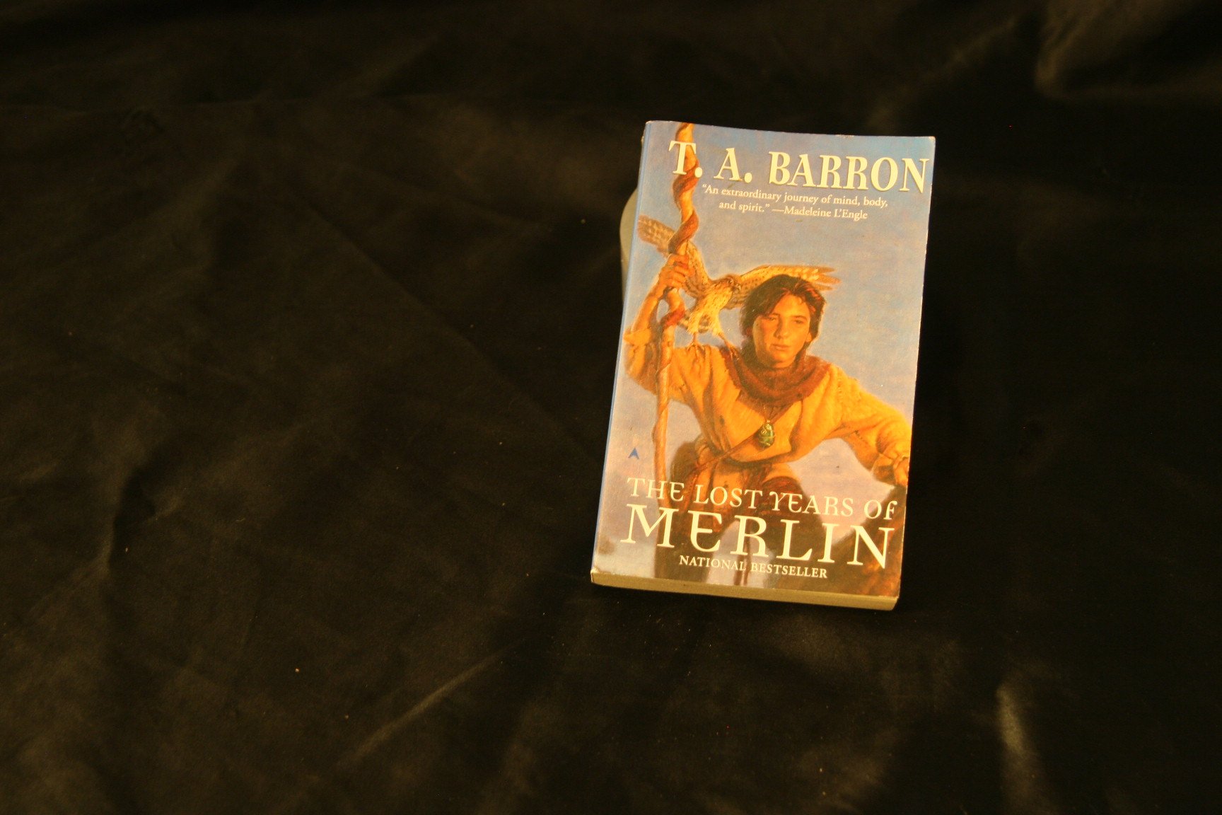 The Lost Years of Merlin Fantasy & Sci-Fi