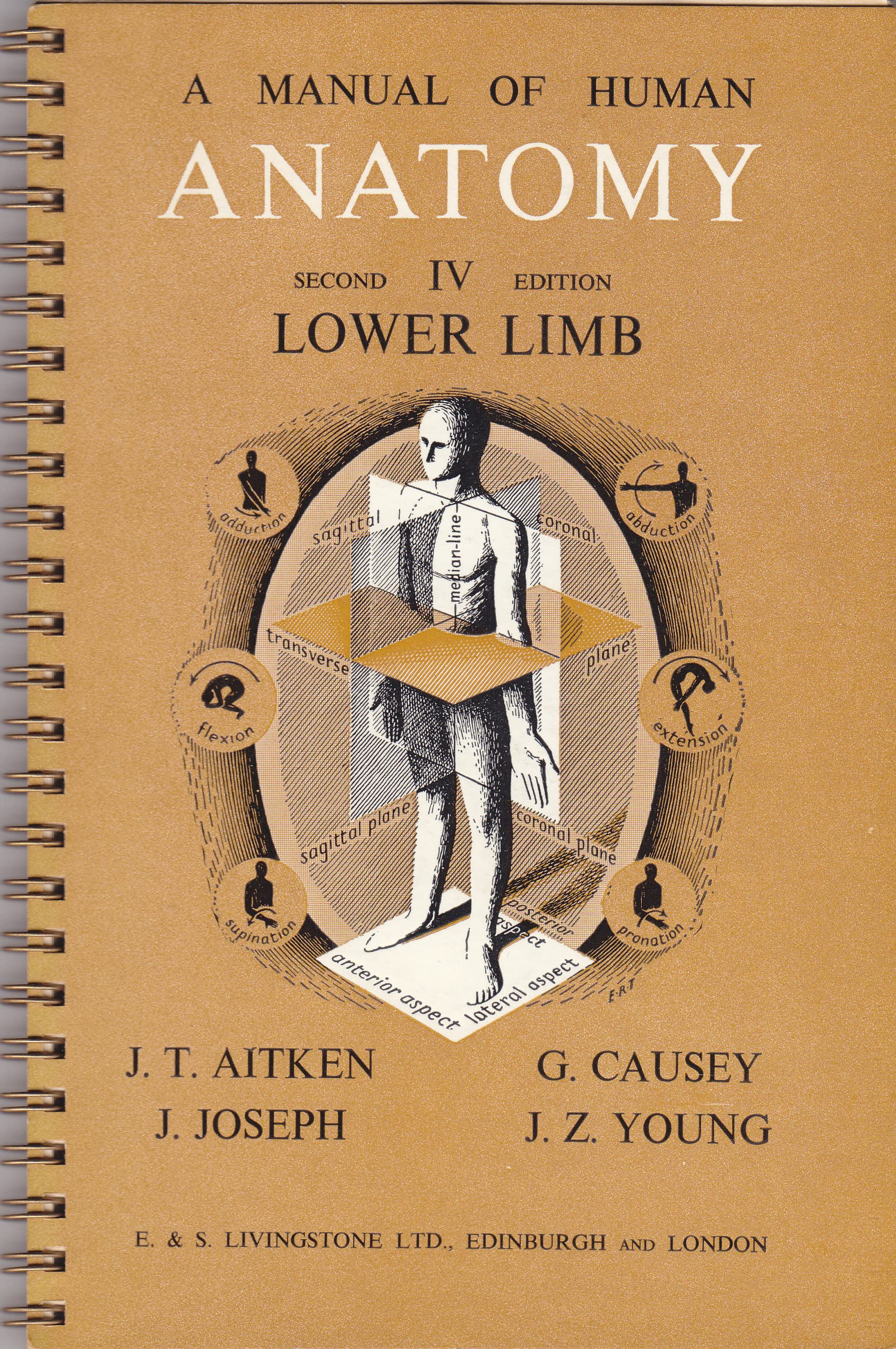 Manual of Human Anatomy: Lower Limb v. 4 Medicine
