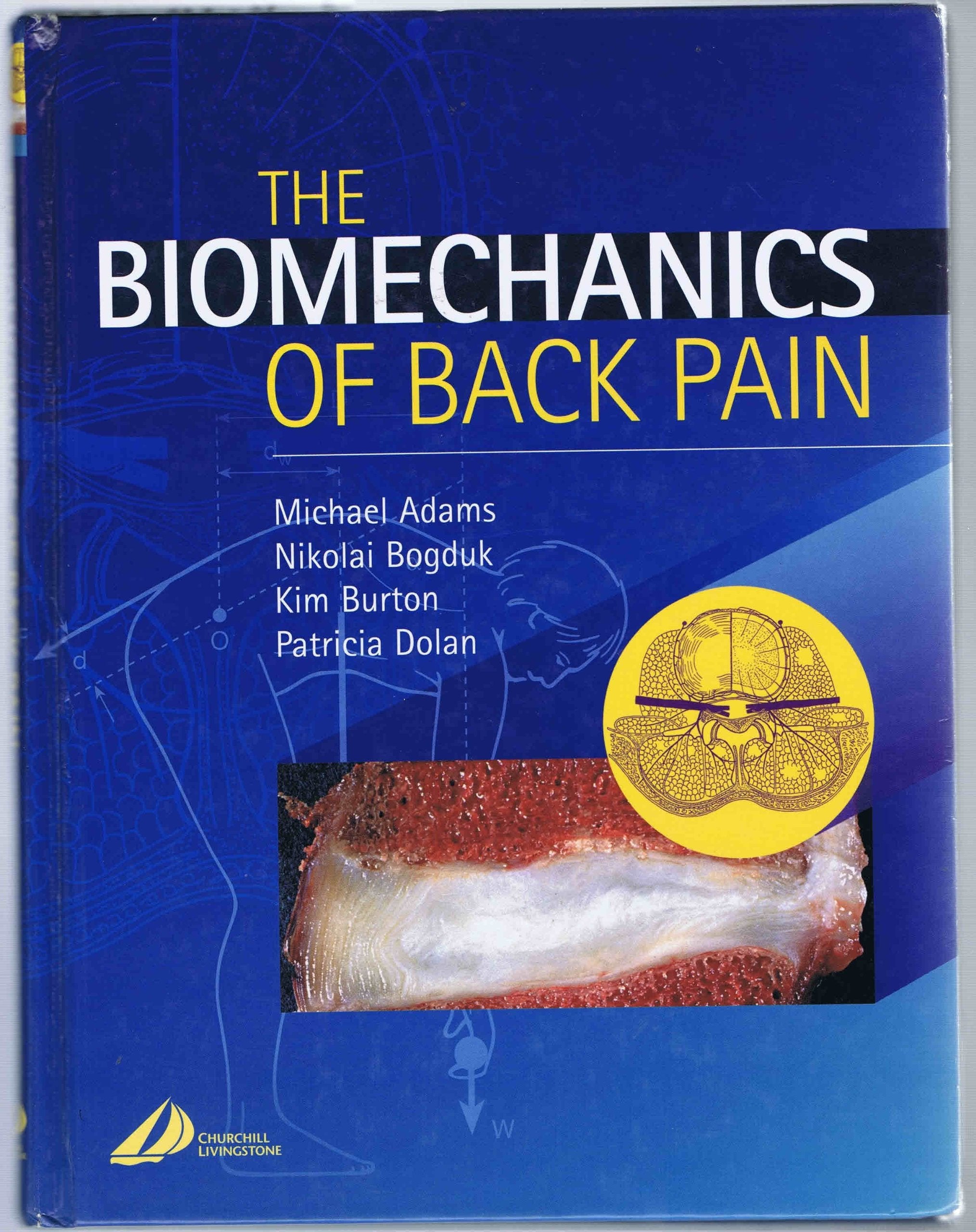 The Biomechanics Of Back Pain book