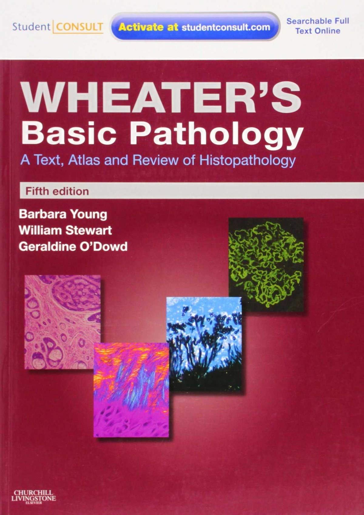 Wheater's Basic Pathology: A Text, Atlas and Review of Histopathology: With STUDENT CONSULT Online Access (Wheater's Histology and Pathology) Medicine