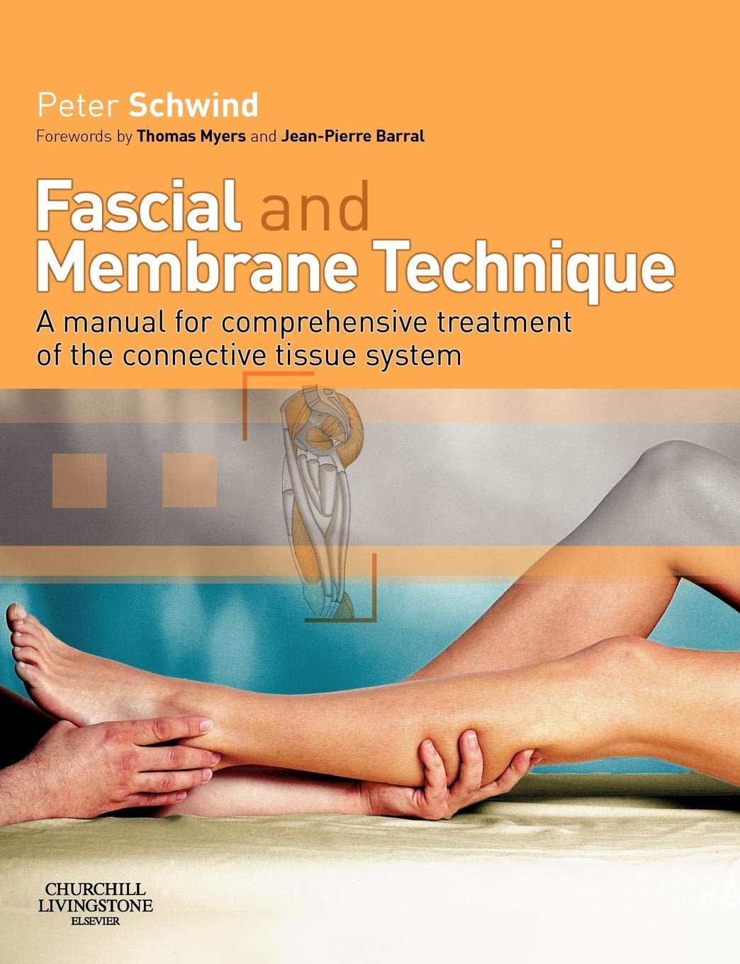 Fascial and Membrane Technique: A manual for comprehensive treatment of the connective tissue system Medicine