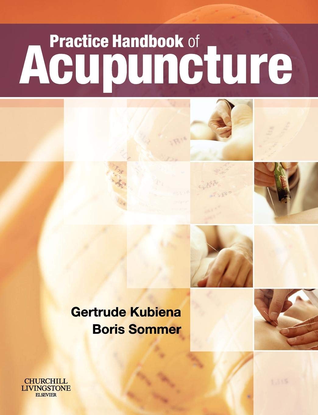 Practice Handbook of Acupuncture Medicine
